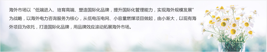 3-6海外业务_03.jpg